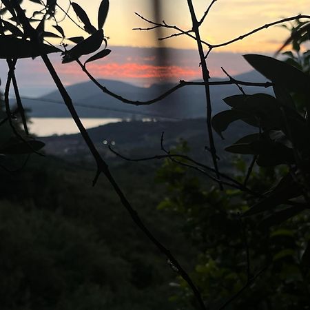 Casa Vacanze Alfano 阿谢亚 外观 照片