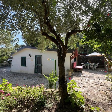 Casa Vacanze Alfano 阿谢亚 外观 照片