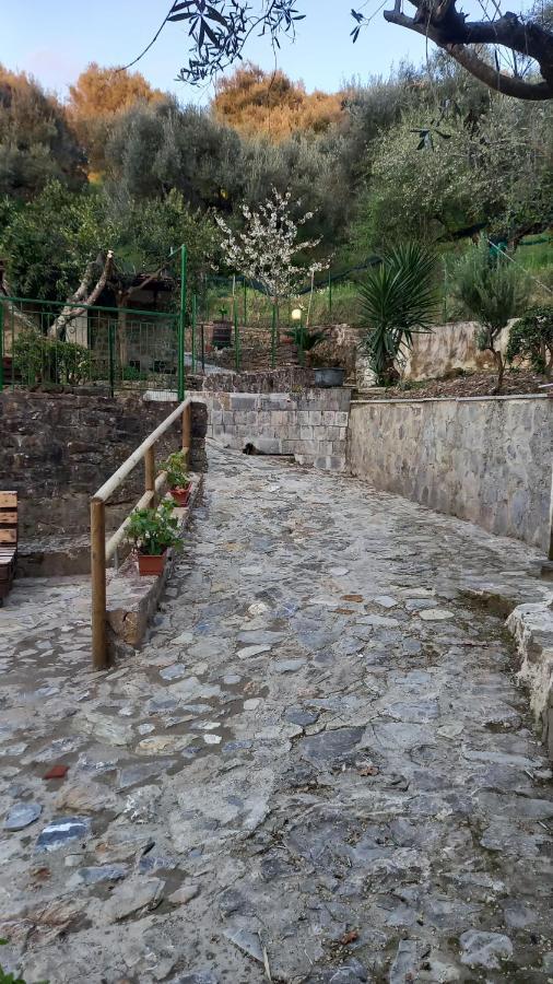 Casa Vacanze Alfano 阿谢亚 外观 照片