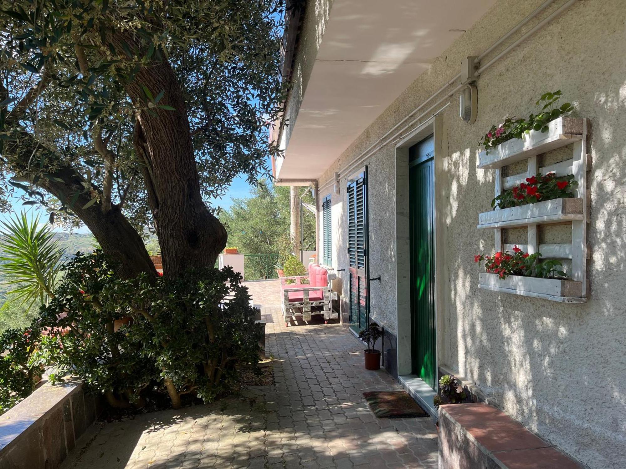 Casa Vacanze Alfano 阿谢亚 外观 照片