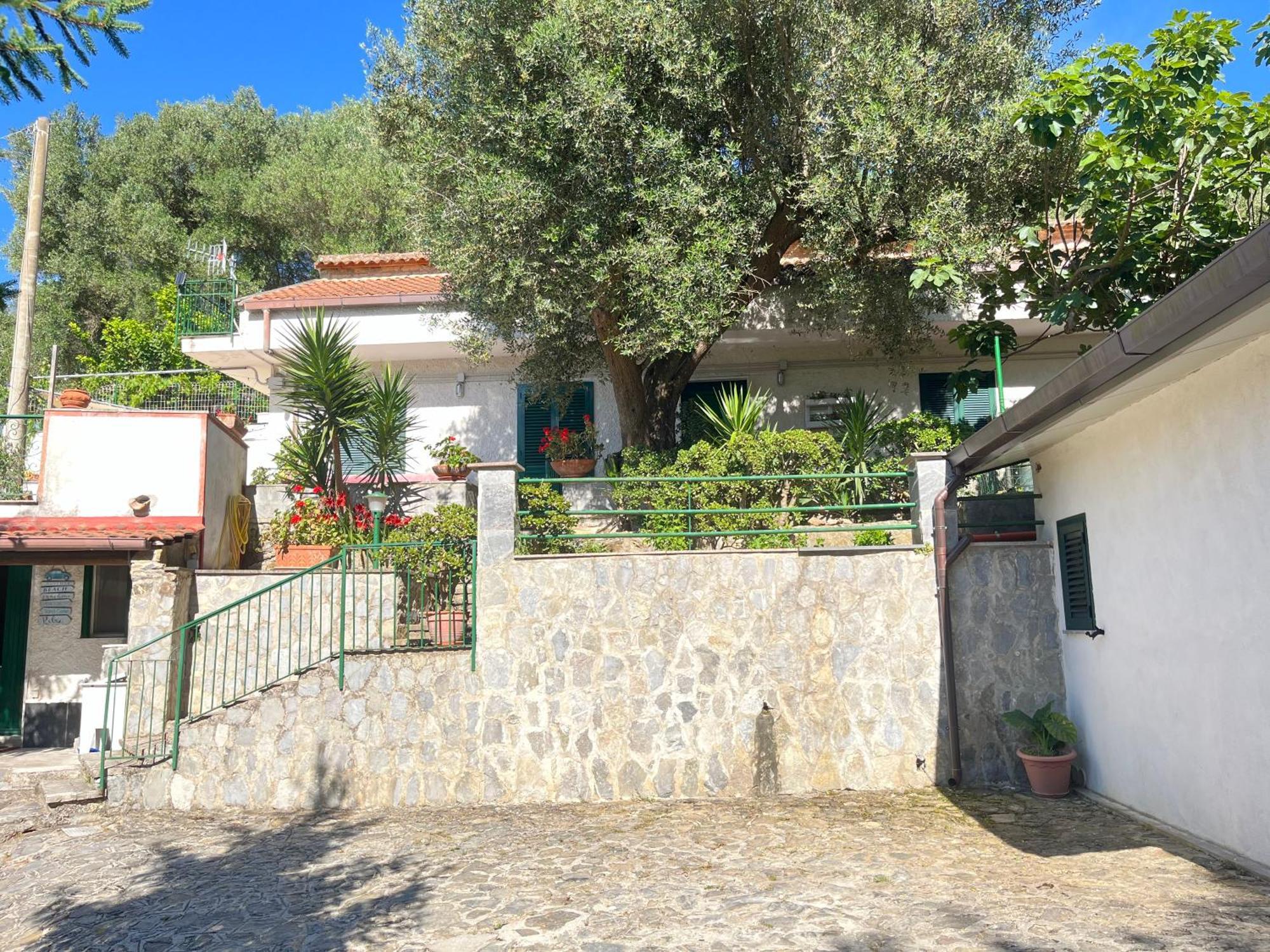 Casa Vacanze Alfano 阿谢亚 外观 照片