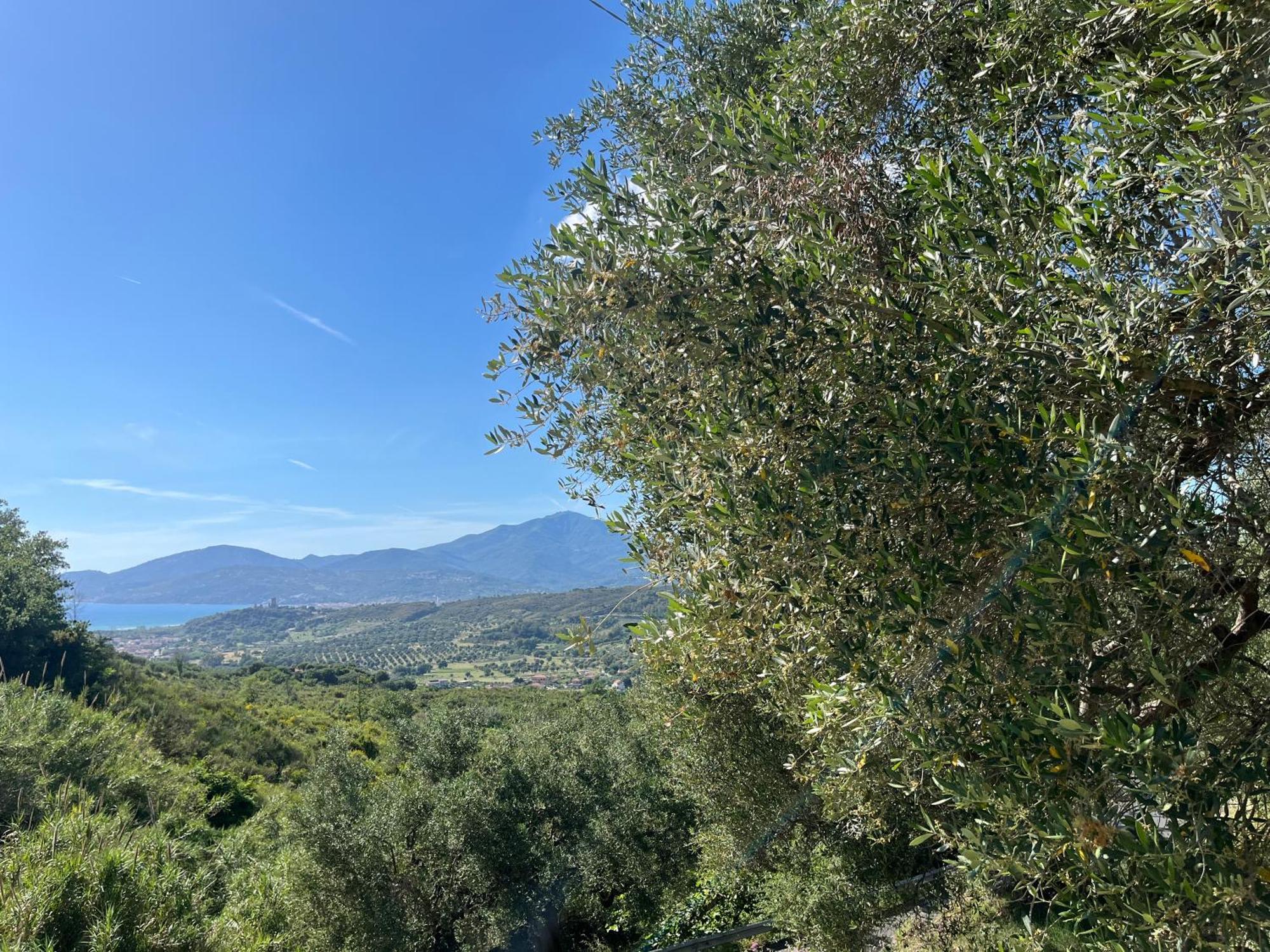 Casa Vacanze Alfano 阿谢亚 外观 照片
