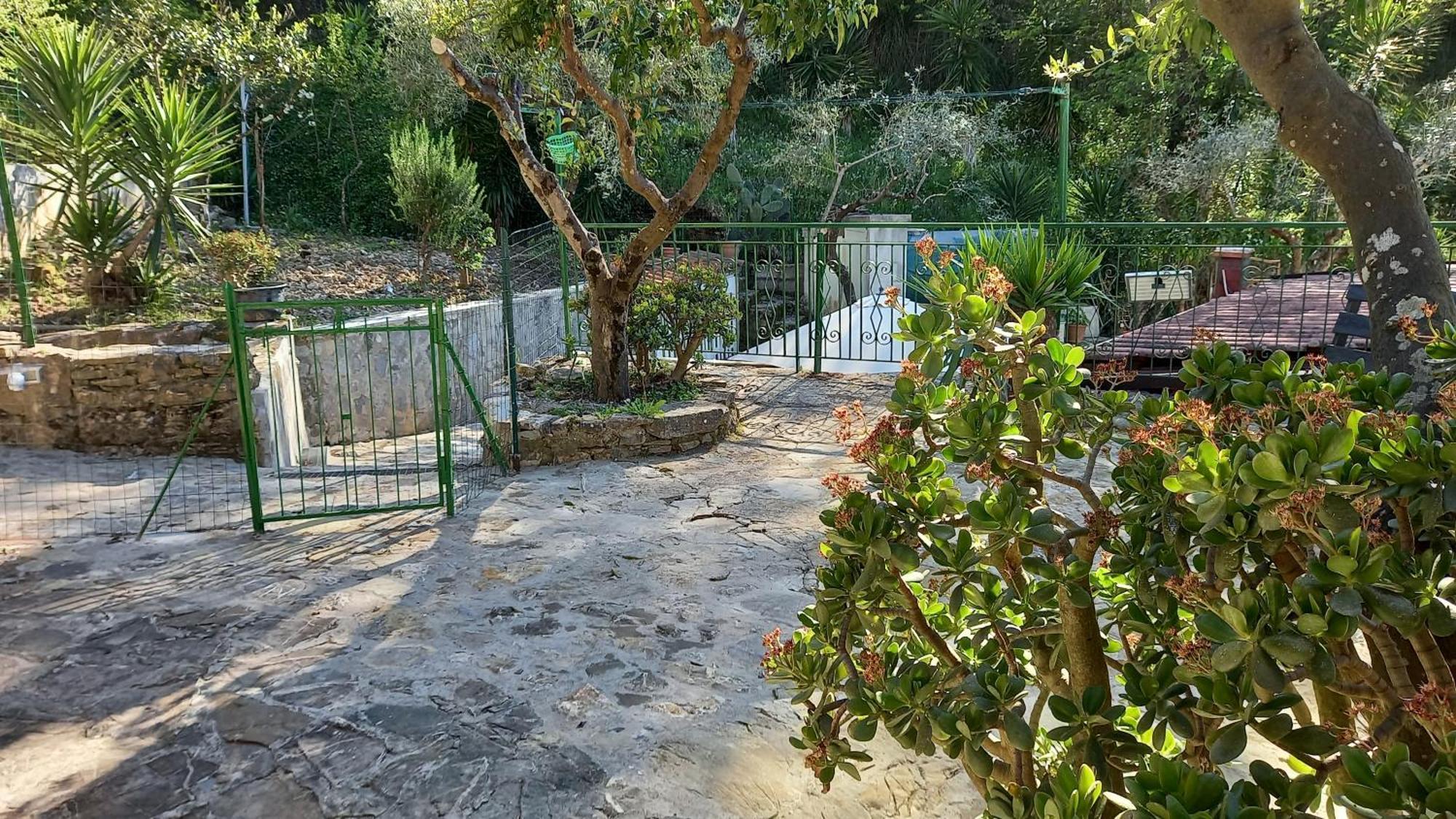 Casa Vacanze Alfano 阿谢亚 客房 照片