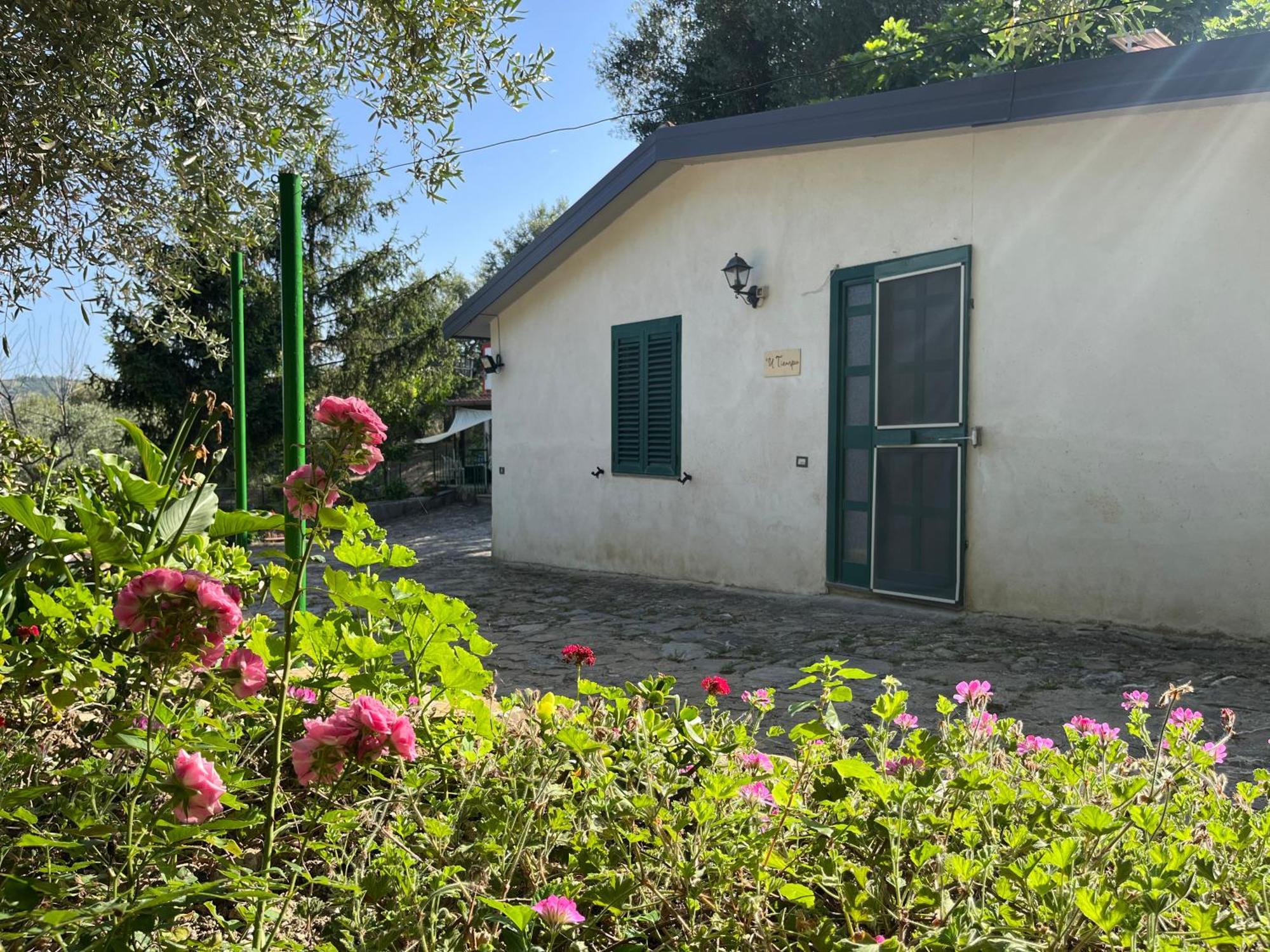 Casa Vacanze Alfano 阿谢亚 客房 照片