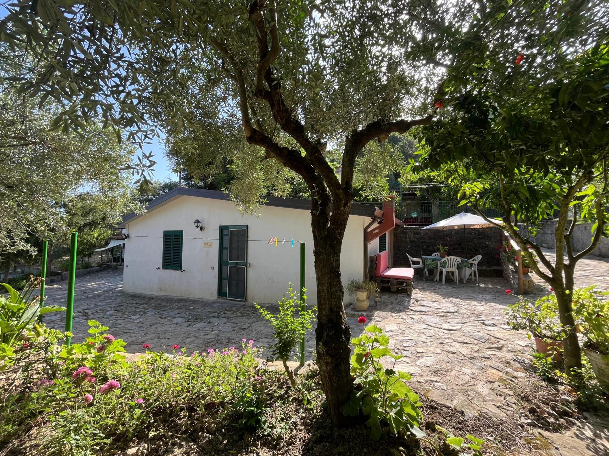 Casa Vacanze Alfano 阿谢亚 外观 照片