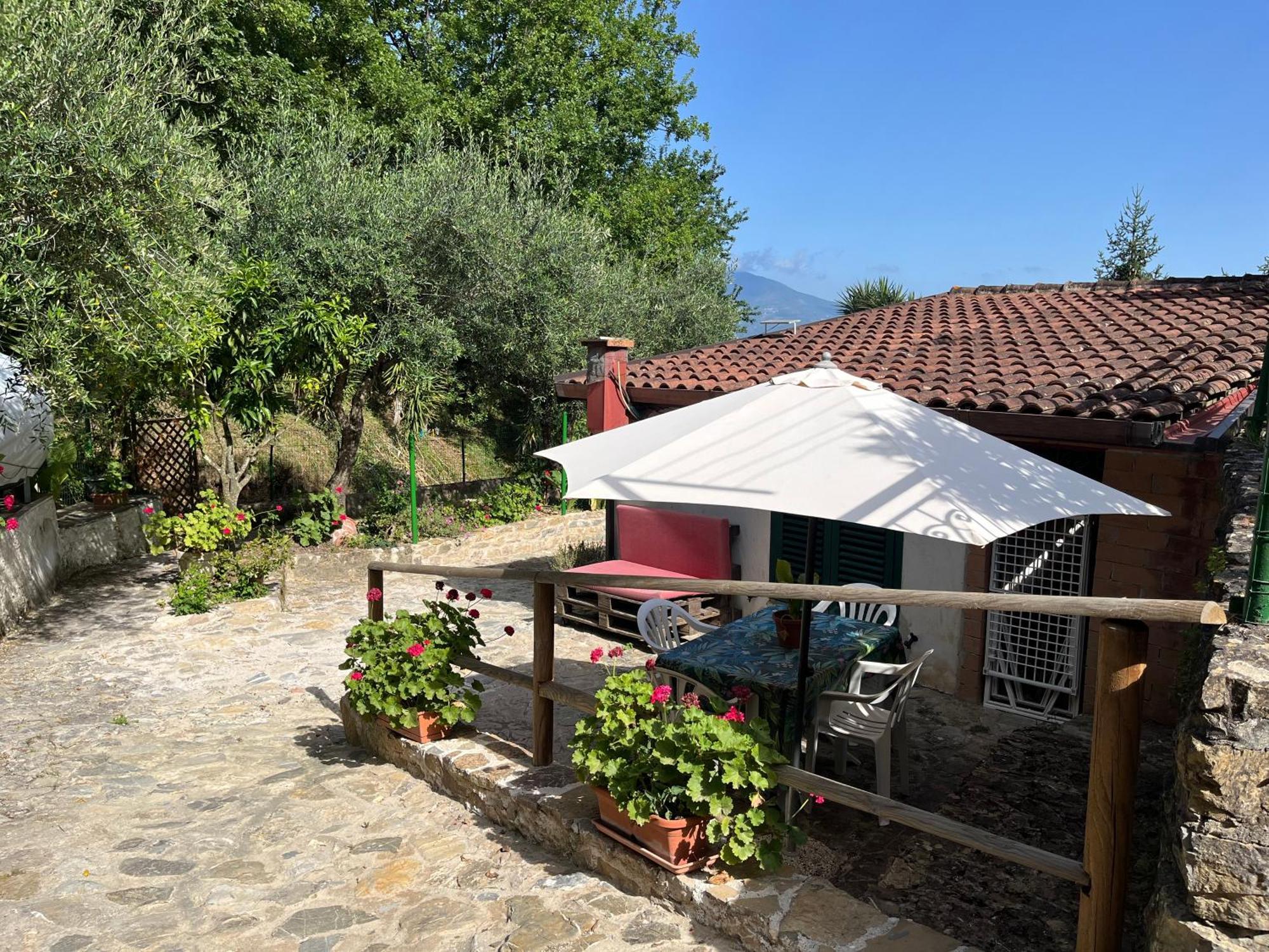 Casa Vacanze Alfano 阿谢亚 外观 照片