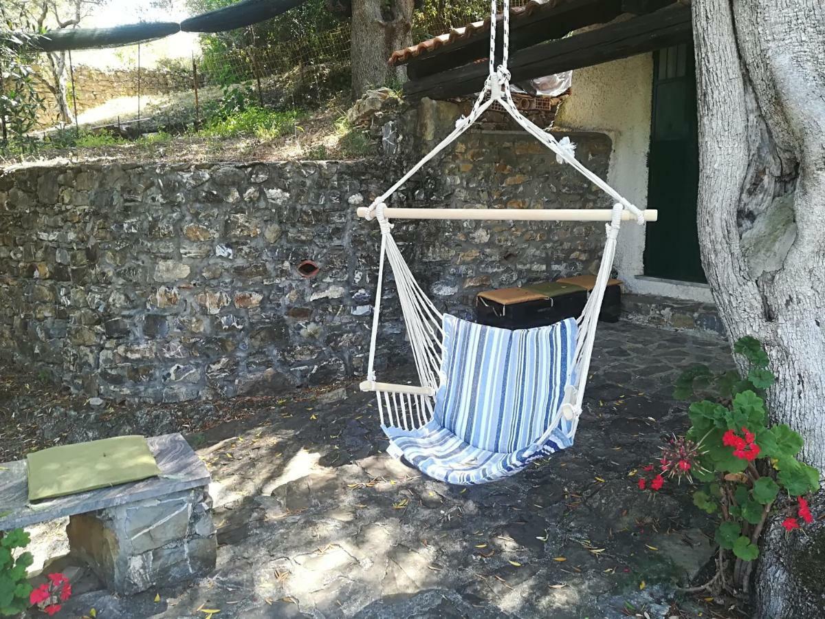 Casa Vacanze Alfano 阿谢亚 外观 照片